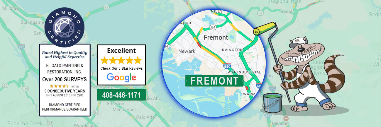 Fremont CA El Gato Painting