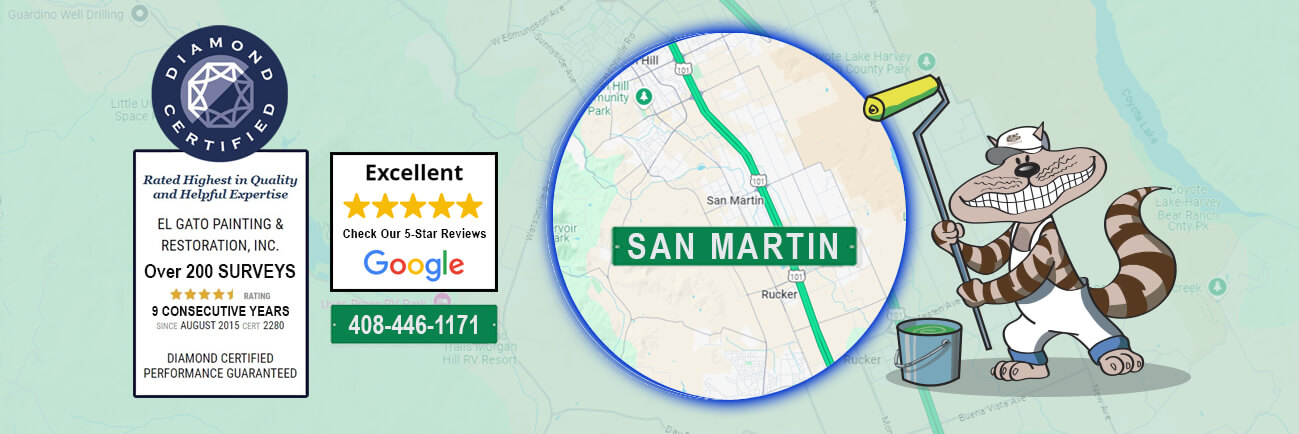 San Martin Painting Company