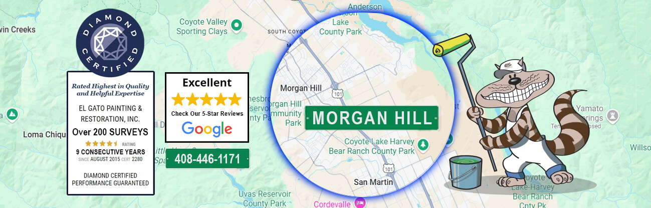 Morgan Hill CA El gato painting service